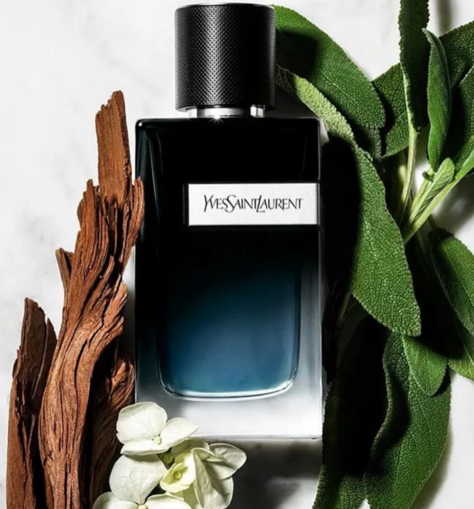 YieSaintLaurent